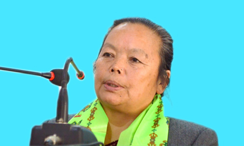 अपांगतासम्बन्धी संवैधानिक व्यवस्थालाई कार्यान्वयन गर्न सरकार गम्भीर : मन्त्री थापा