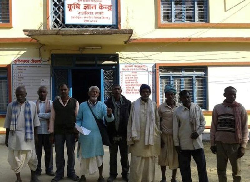 गहुँको बिउ अभावले माैलाउँदै कालाेबजारी, किसानहरू मारमा