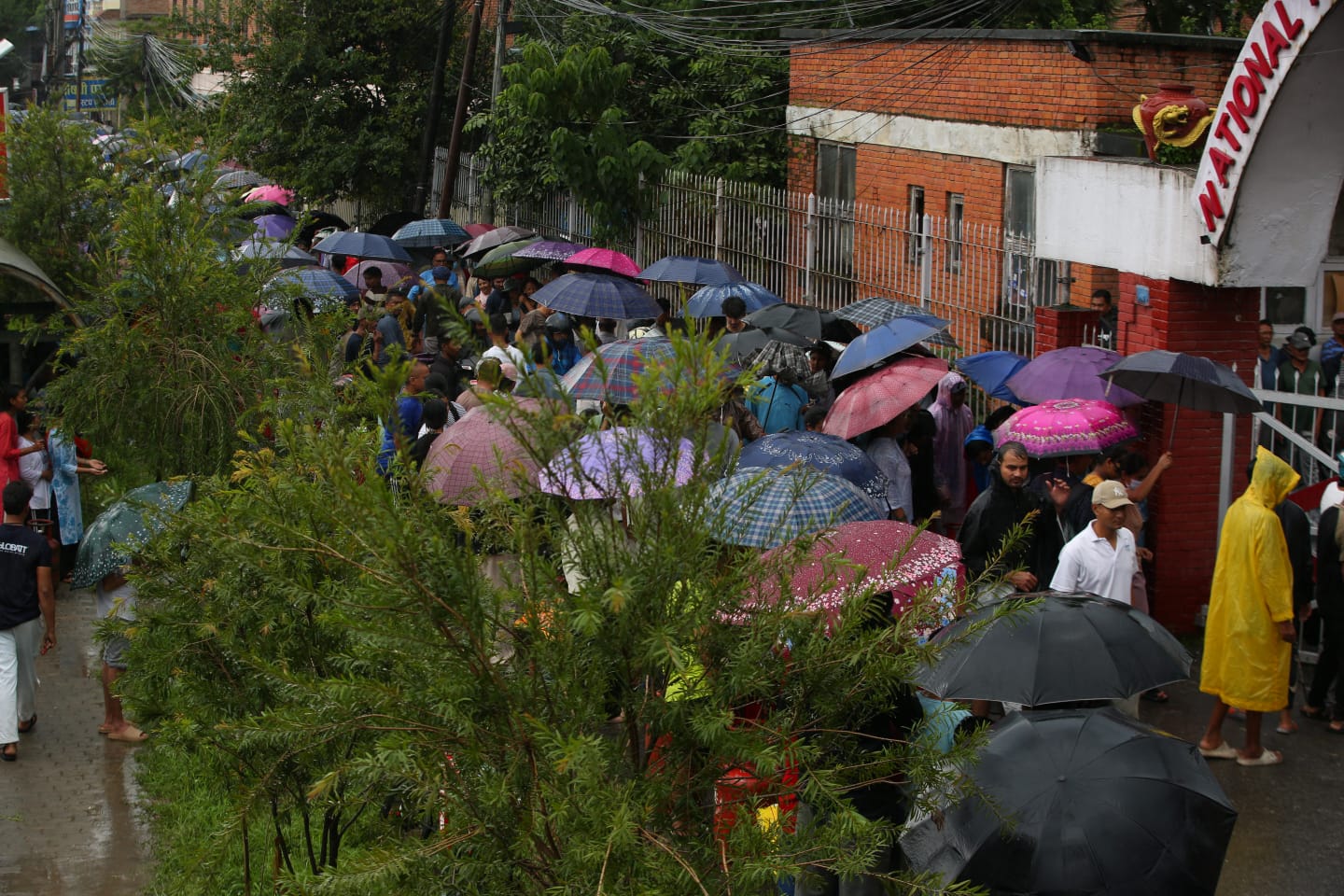 lpggas-(10)-1786875777.jpeg