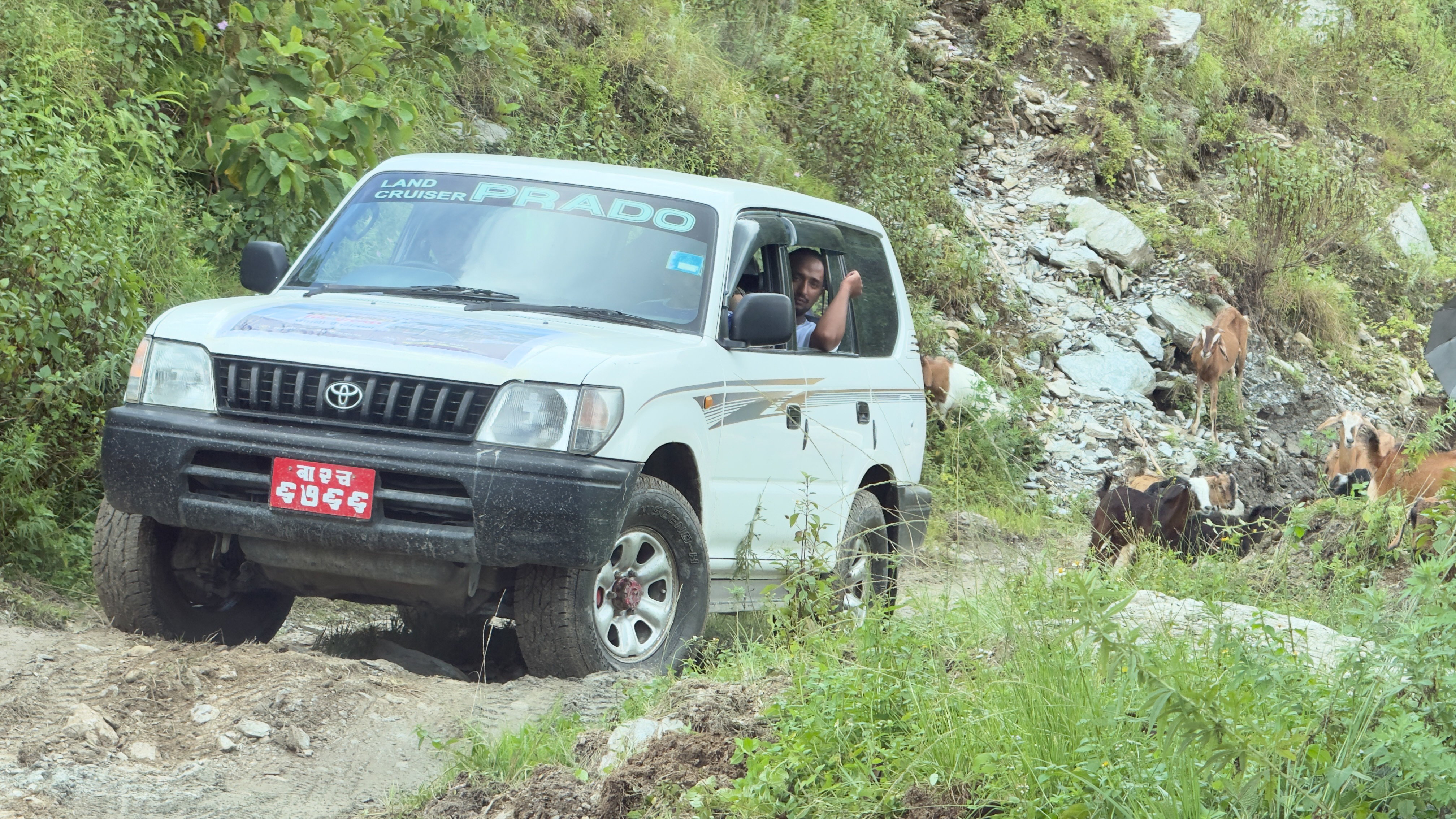 rasuwa-bato-(10)-1788940064.jpg