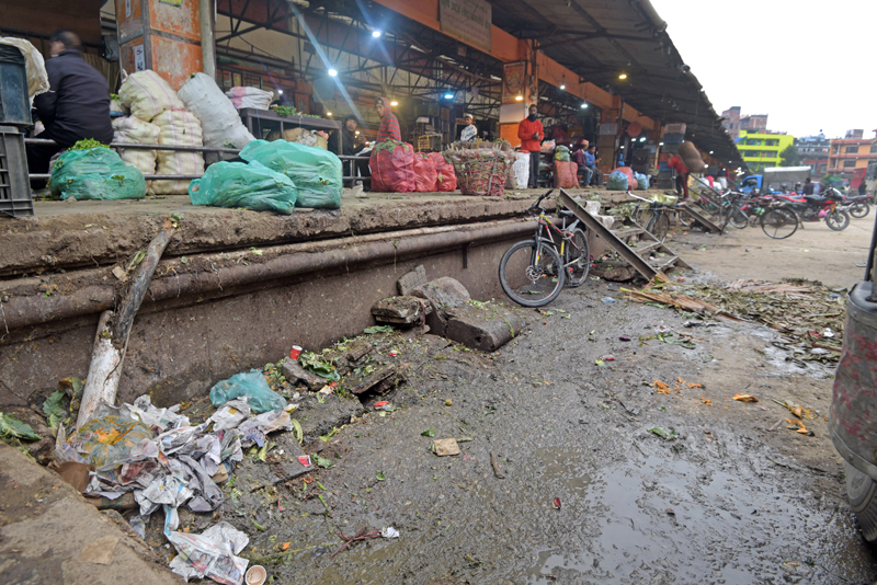 vagetable-market-at-kathmandu-AKD_4122-(9)-1711165819.jpg