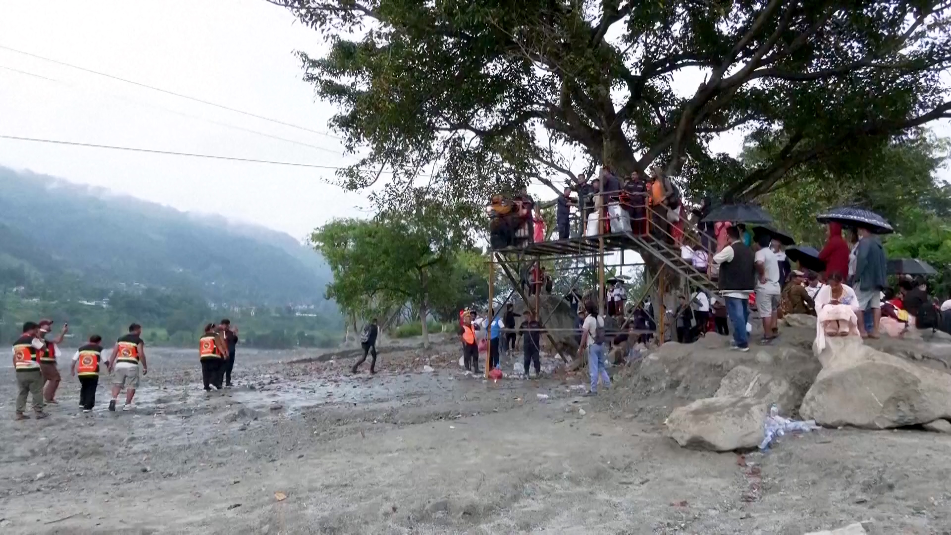 zipline-(6)-1788704021.jpg